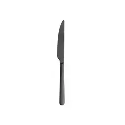 Нож десертный PINTINOX